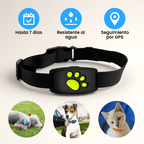Collar GPS Mascotas Perros y Gatos Impermeable - VyFlair