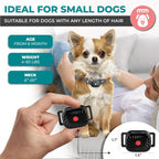 Nina | Collar Anti-Aboiement para Perros Pequeños – Entrenamiento Suave y Eficaz