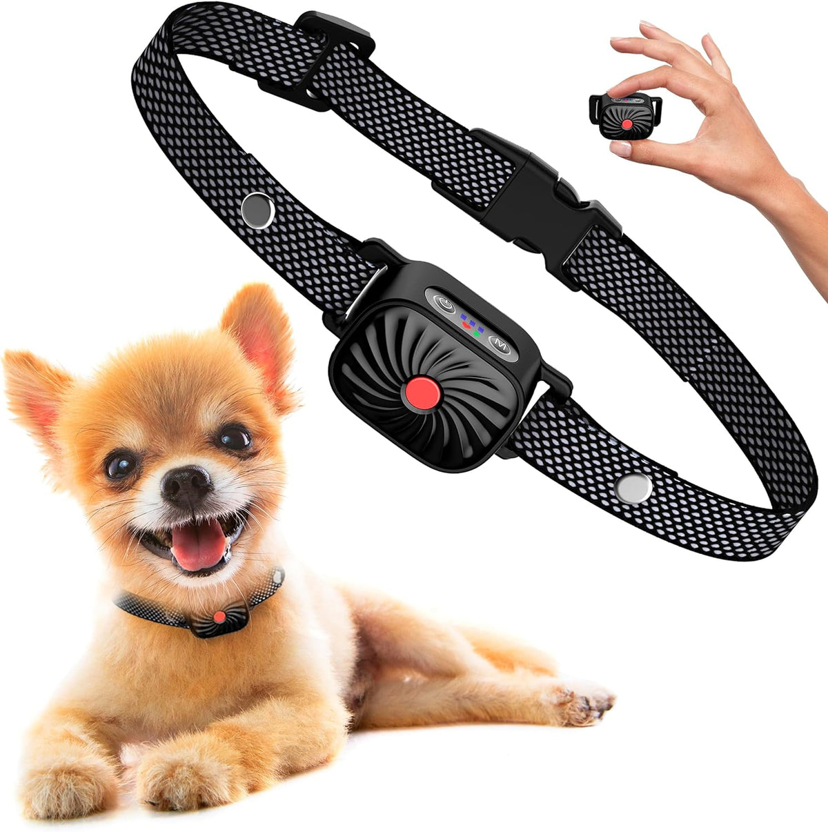 Nina | Collar Anti-Aboiement para Perros Pequeños – Entrenamiento Suave y Eficaz