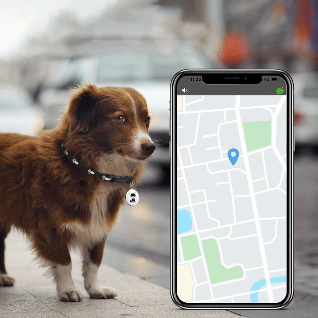 Rastreador GPS para Mascotas - Perros y Gatos - Android e iOS - VyFlair